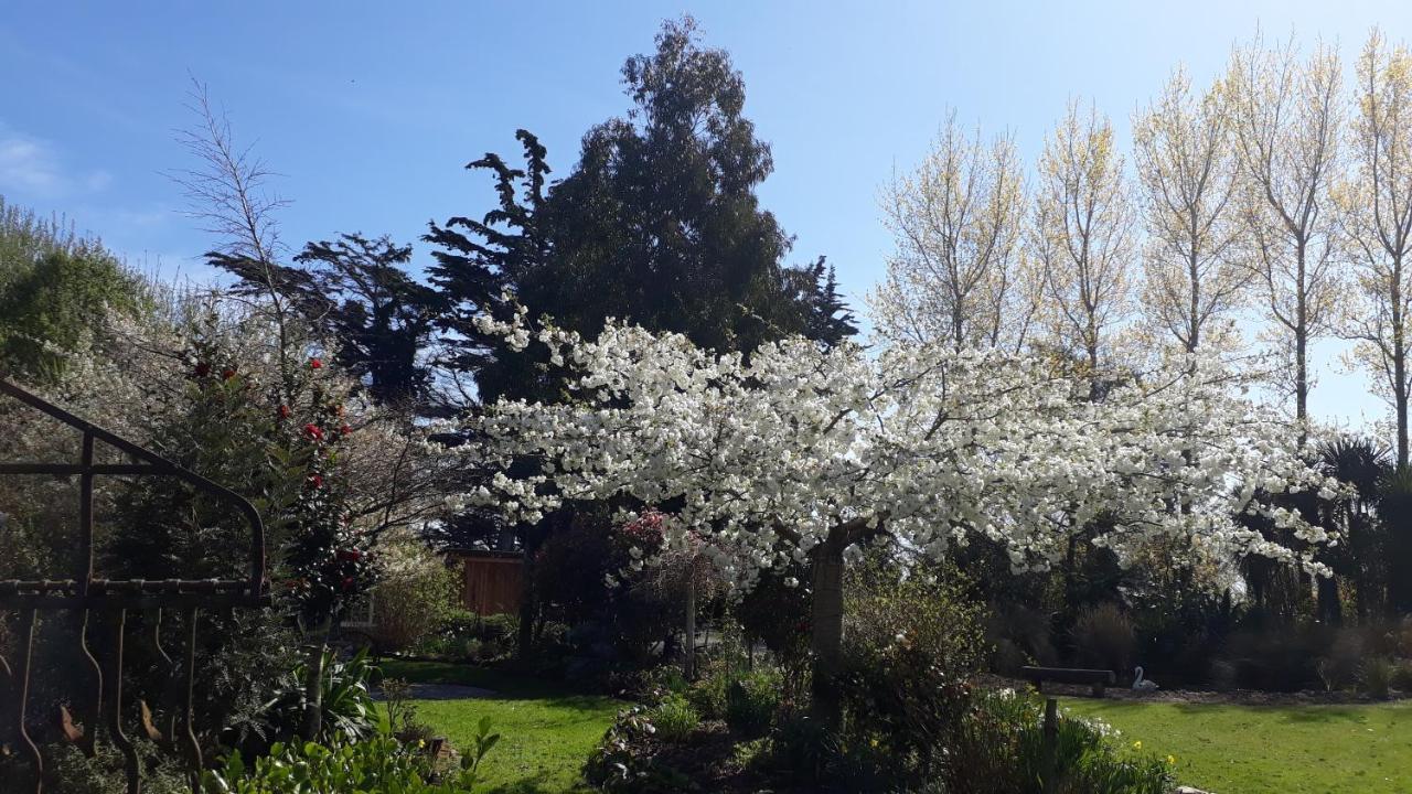 Folster Gardens Bed And Breakfast Invercargill Extérieur photo